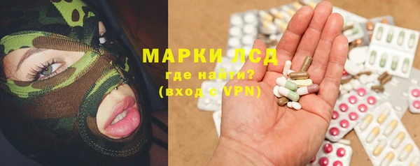 ECSTASY Белокуриха