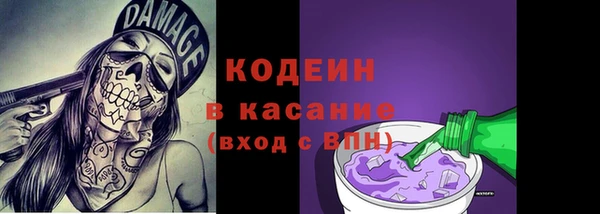 сатива Беломорск