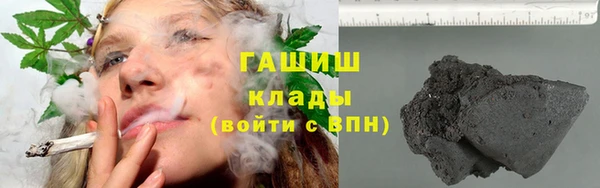 сатива Беломорск