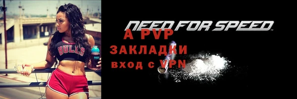 ECSTASY Белокуриха