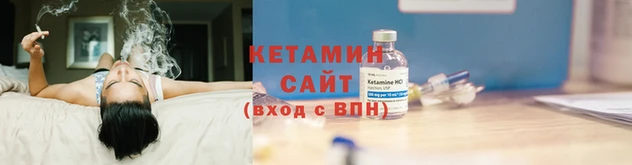 сатива Беломорск