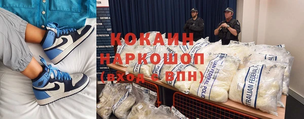 сатива Беломорск