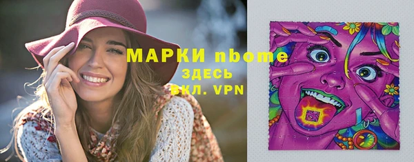 сатива Беломорск