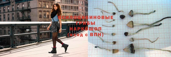 сатива Беломорск