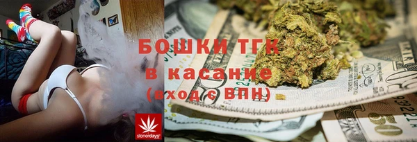 ECSTASY Белокуриха