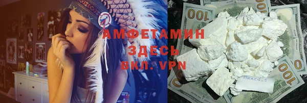 сатива Беломорск