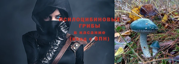 амф Белоозёрский