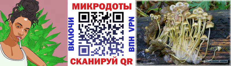 наркошоп  Павловск  Псилоцибиновые грибы Magic Shrooms 